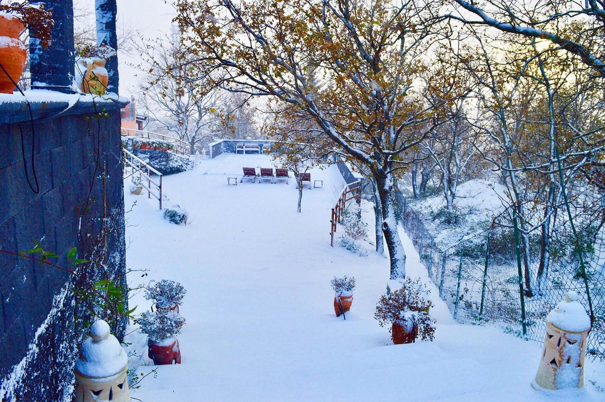 Villa Del Gelso Chalet Nel Parco Delletna Mascali Eksteriør billede